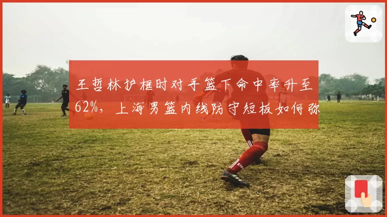 王哲林护框时对手篮下命中率升至62%，上海男篮内线防守短板如何弥补？